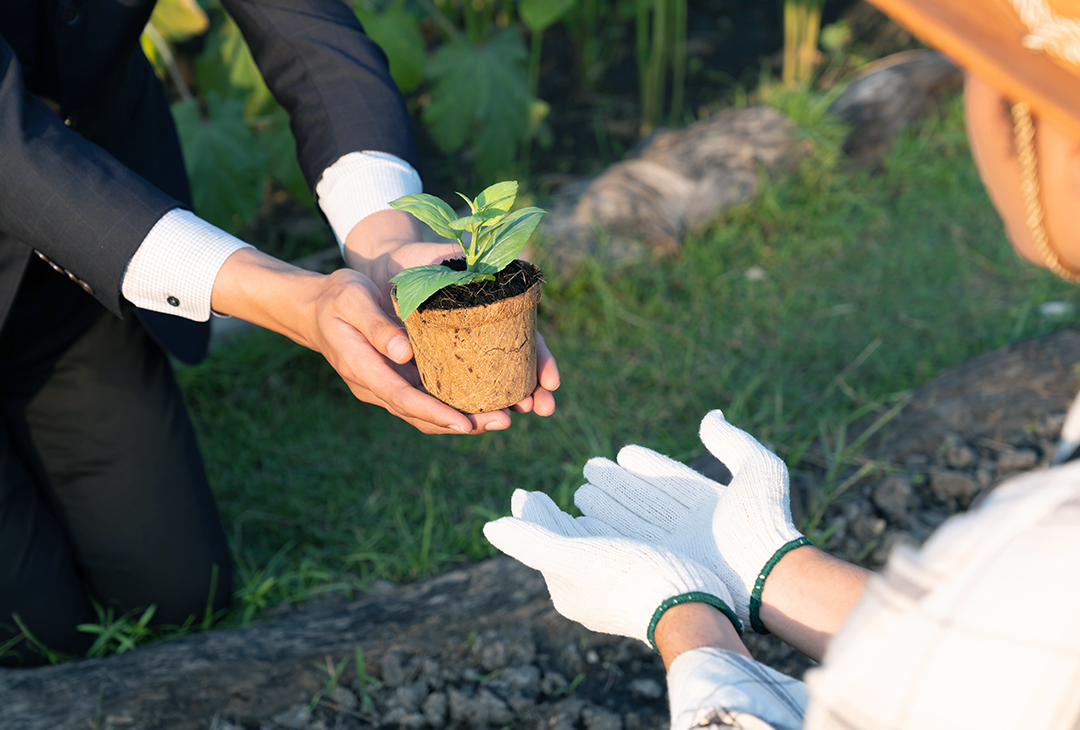 Green Legacy Initiative